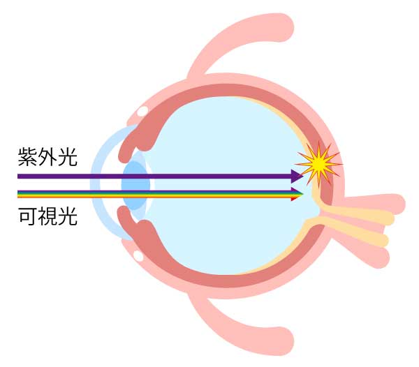 紫外線が目から入る図